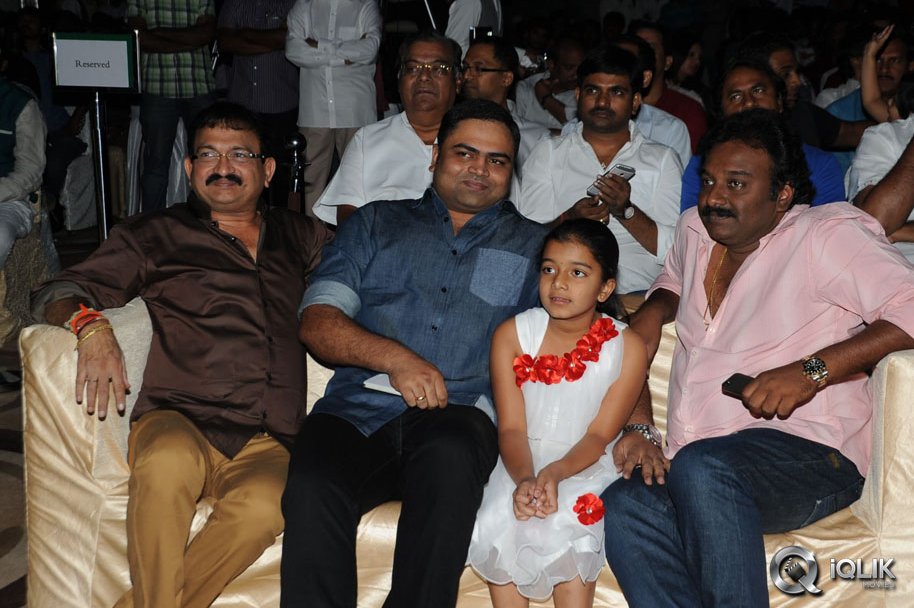 Race-Gurram-Movie-Audio-Launch